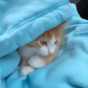 Meet your Posher, Laura